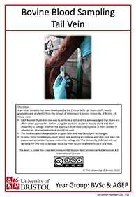 Clinical skills instruction booklet cover page, Cow Tail Vein Blood Sampling